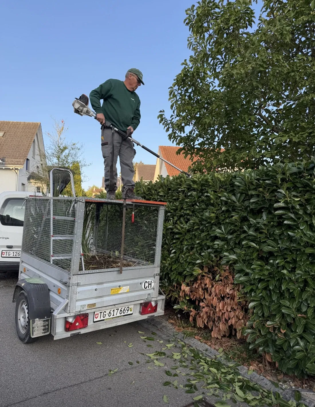 Gärtner beim Schneiden einer hohen Hecke mit einer Heckenschere