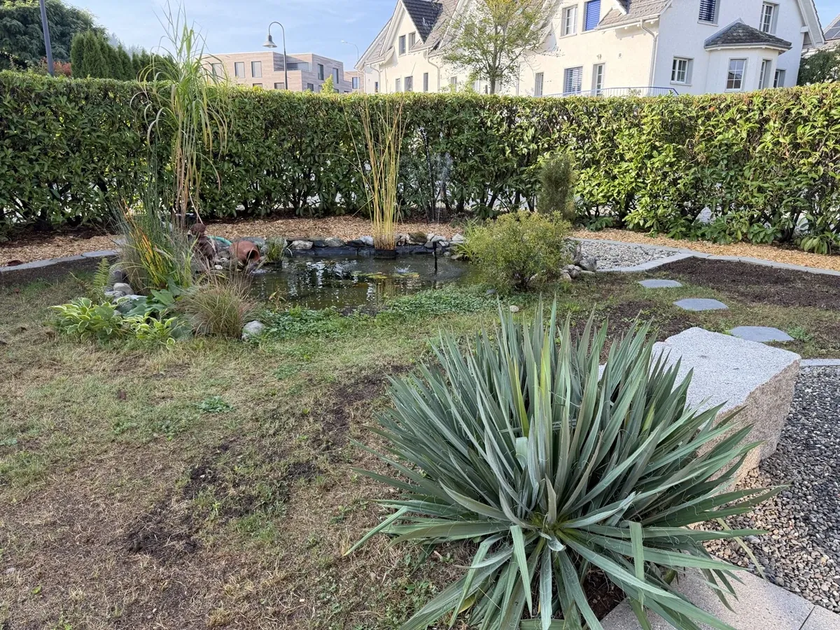 Gartenteich mit Wasserpflanzen, Gräsern und Bepflanzung im Vordergrund