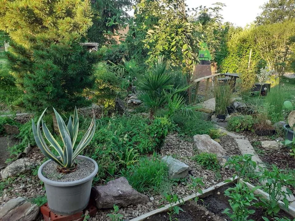 Garten & Bepflanzung