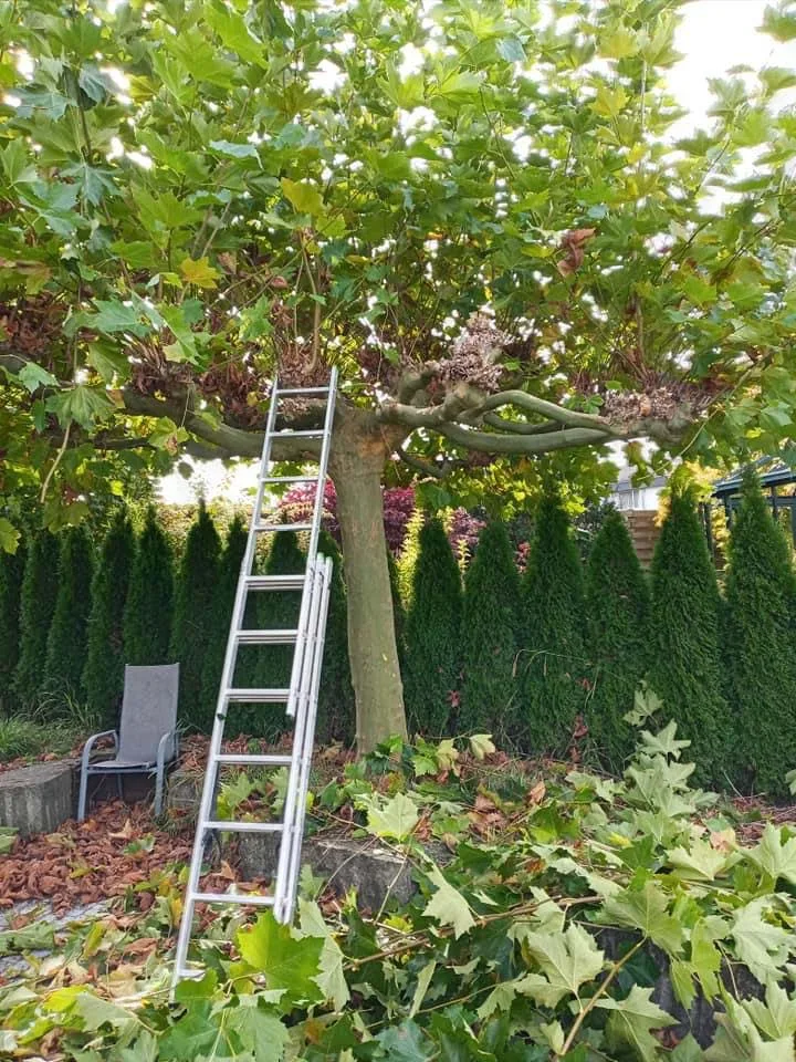 Schnittarbeiten