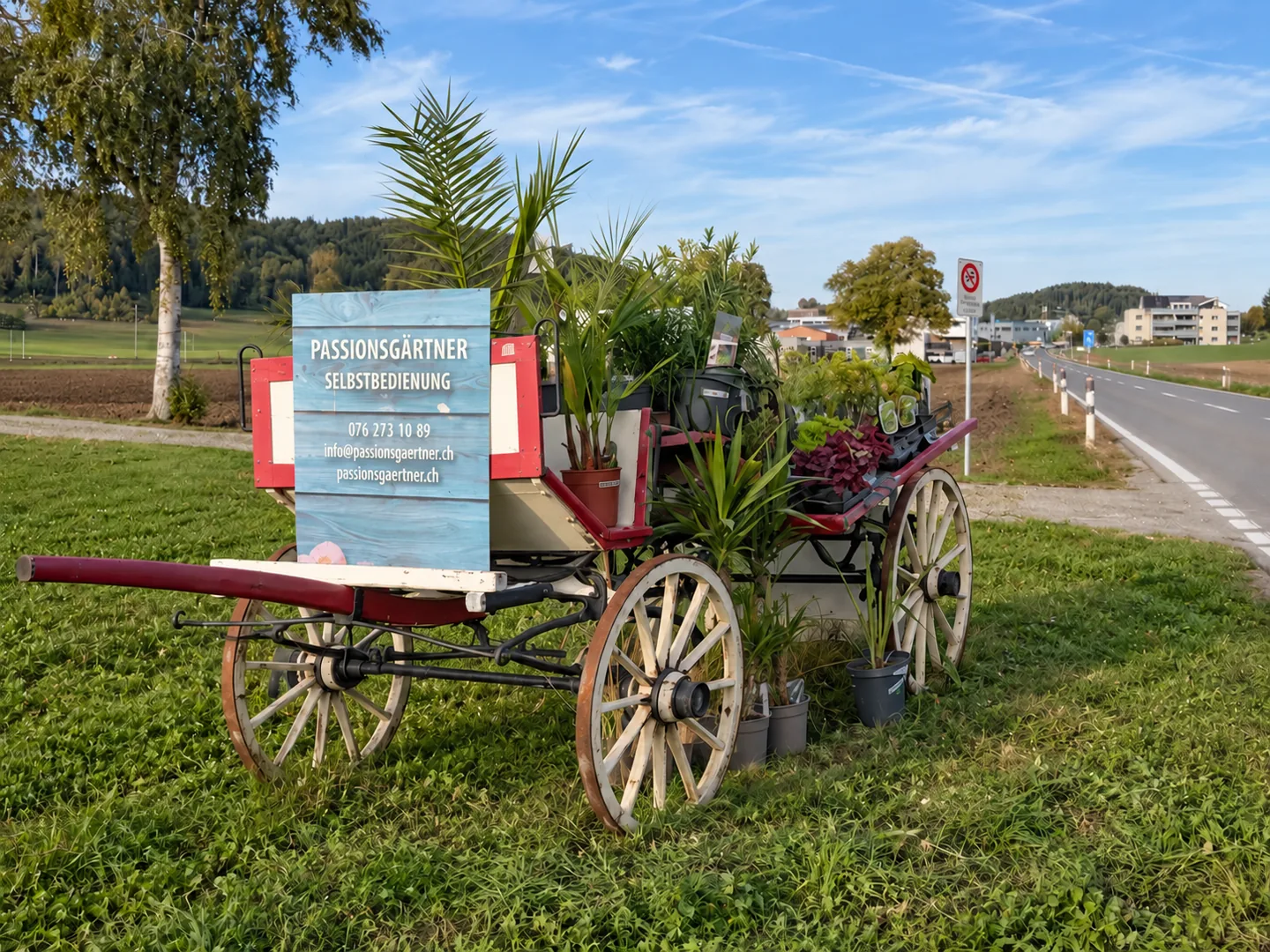 Selbstbedienungsstandort Balterswil: historischer Pflanzenwagen an der Landstrasse