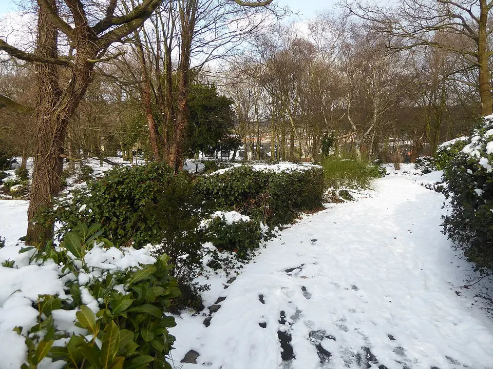 Verschneiter Gartenweg