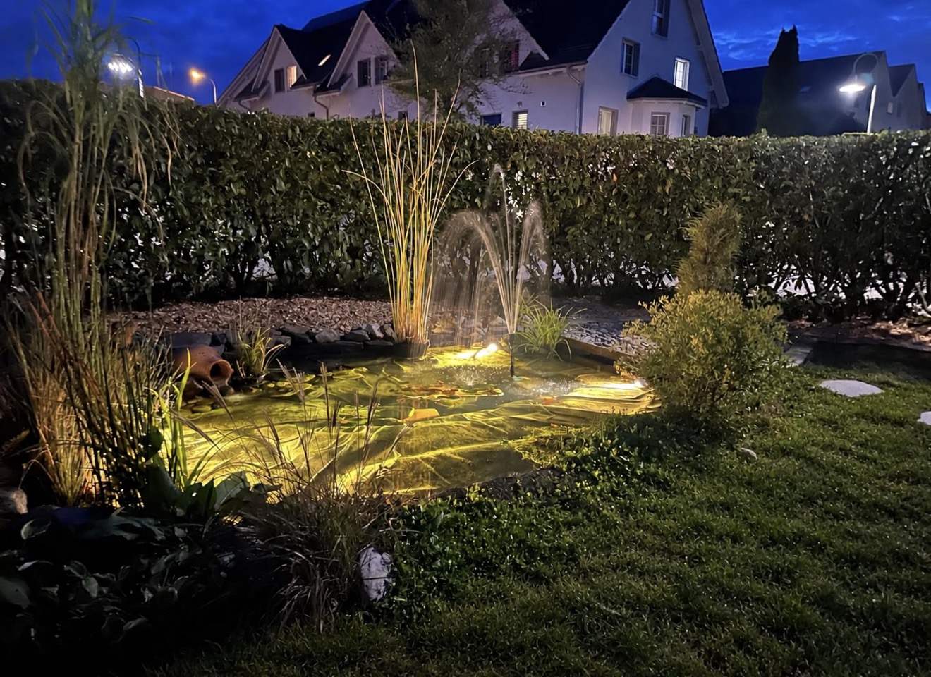 Gartenteich